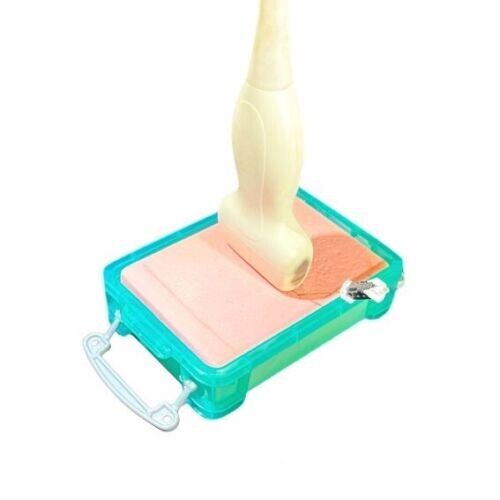 ultrasound vascular access phantom training model-FLUID FREE