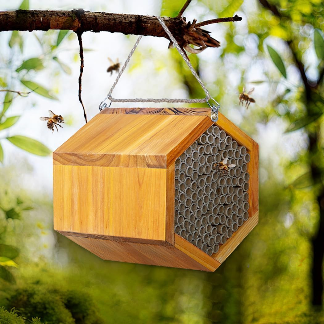 Mason Bee House - Handmade Natural Wooden Bee Hive Coated with Wax for Water-Pro