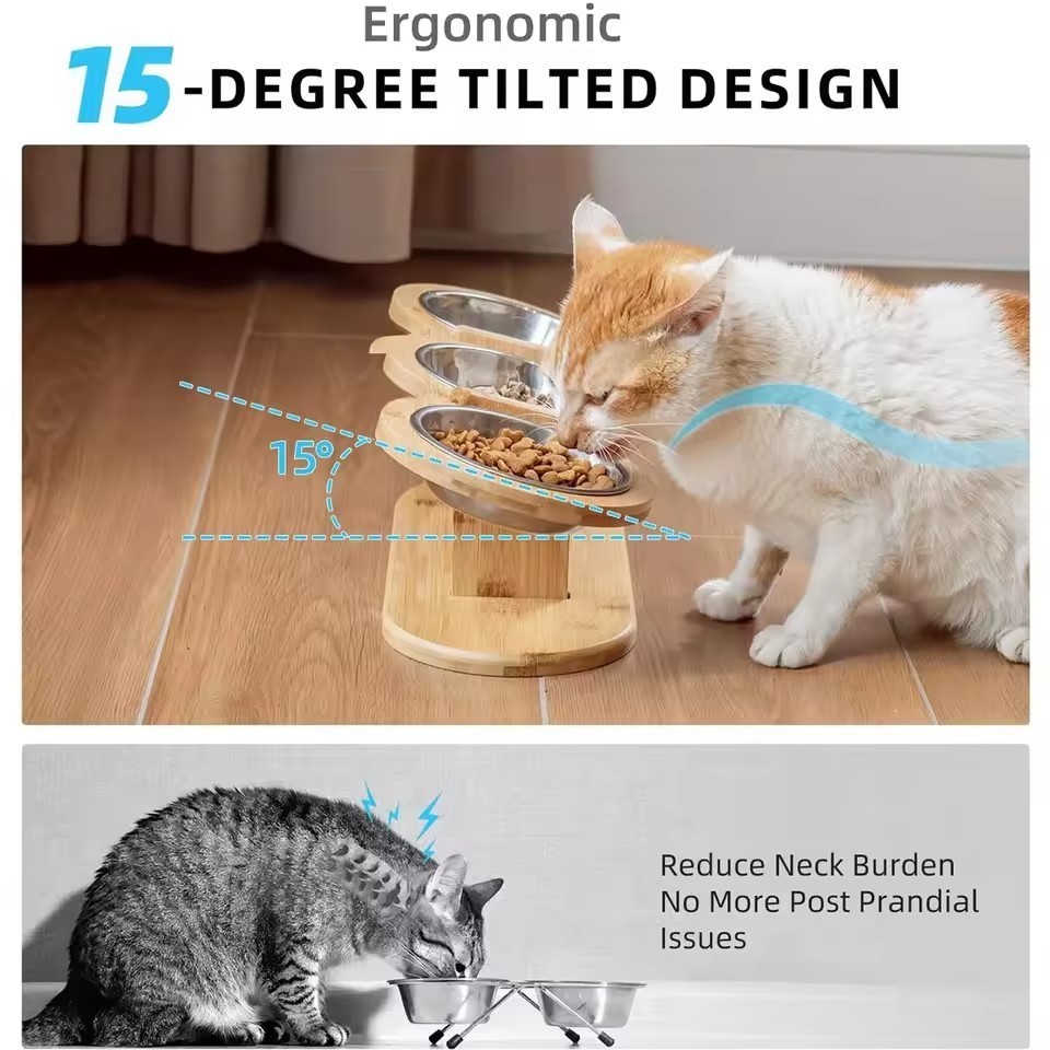 Elevated Cat Bowls Raised Food Bowls 15° Tilted Pet Bowls for Cats and Small Dog