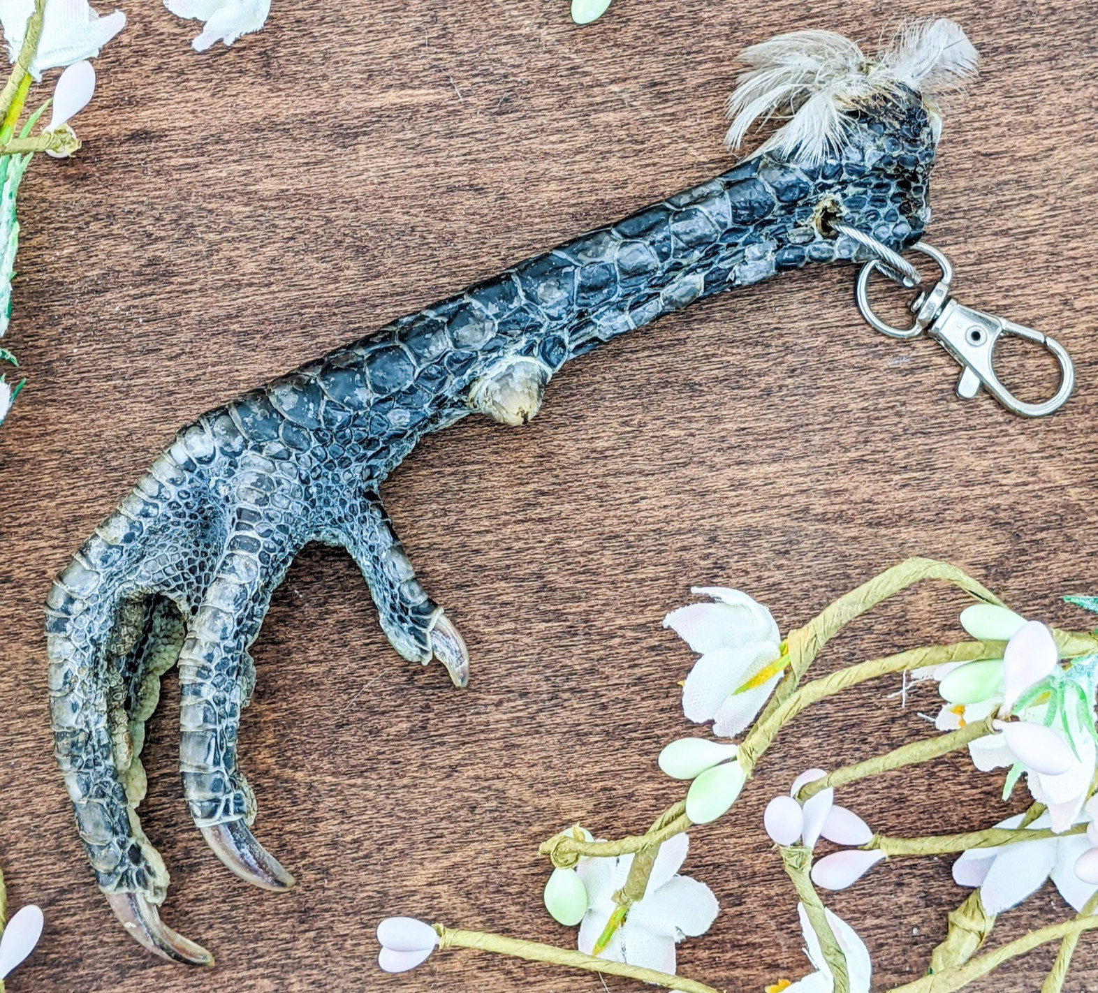 Chicken Foot KeyChain Hook talisman Taxidermy Oddity Curiosity voodoo pirate