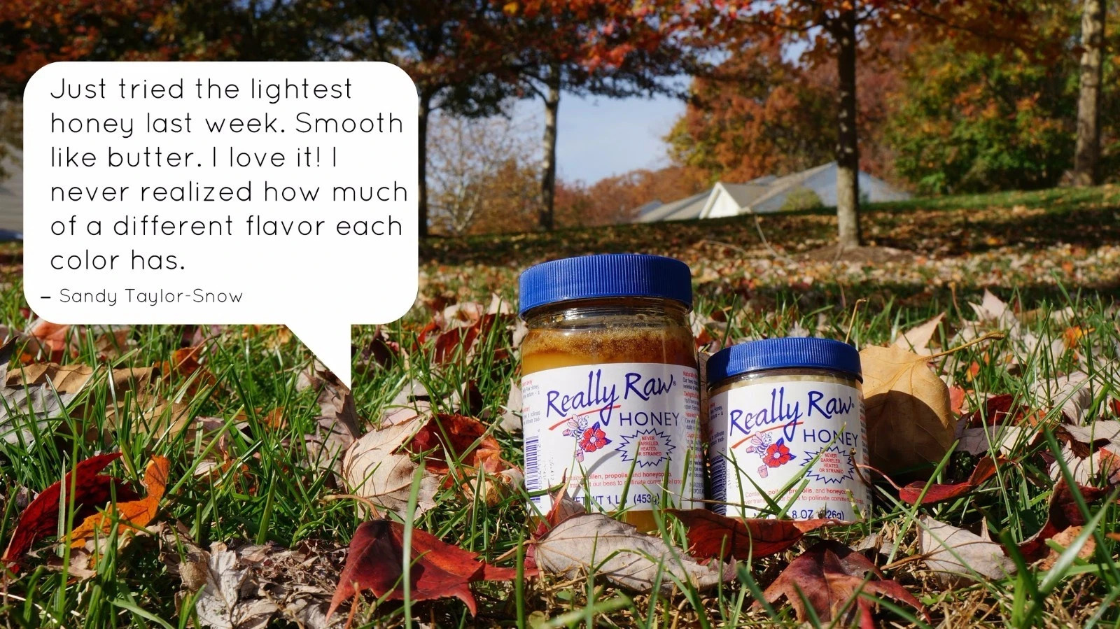 Really Raw Honey 16oz |453g | 1lb Jar 〡🐝 FREE SHIPPING 🍯