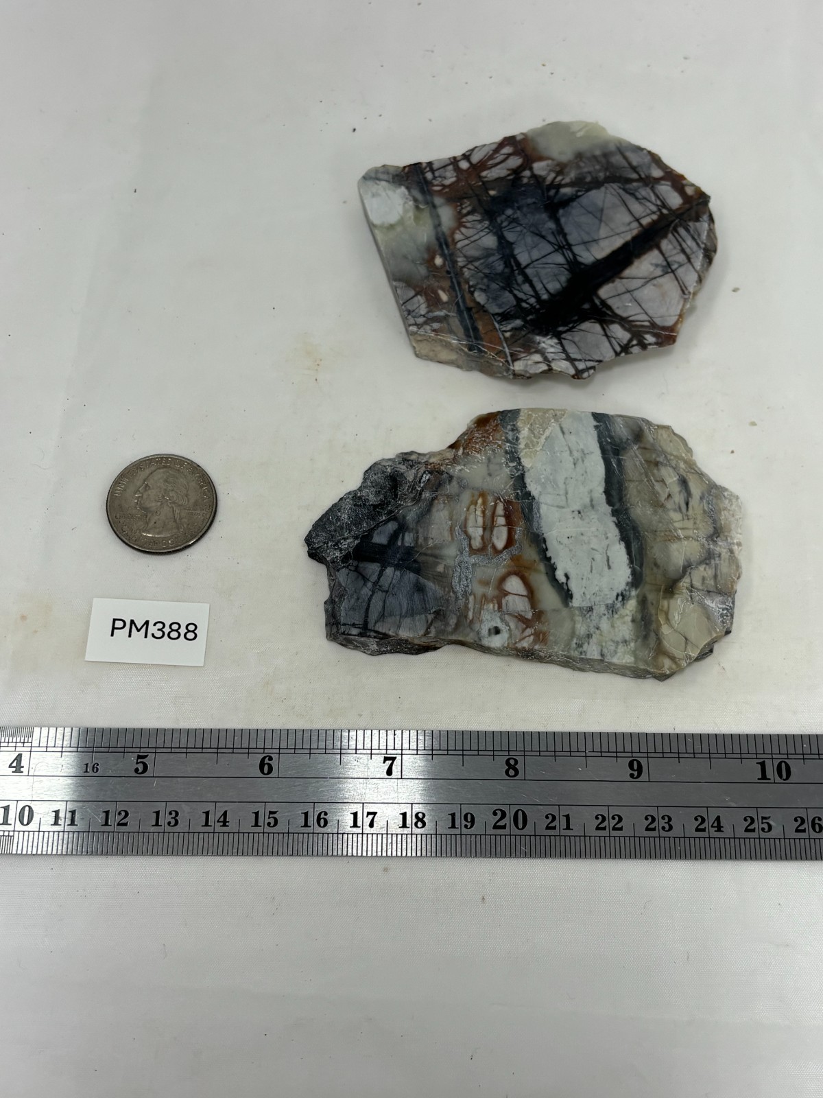 Picasso Marble (Jasper) Slabs Cabbing Lapidary Utah Combo Ship Avail