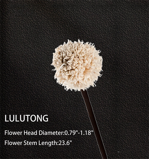 Elegant Dried Flower Arrangements - Perfect for Home Decor & Events 03