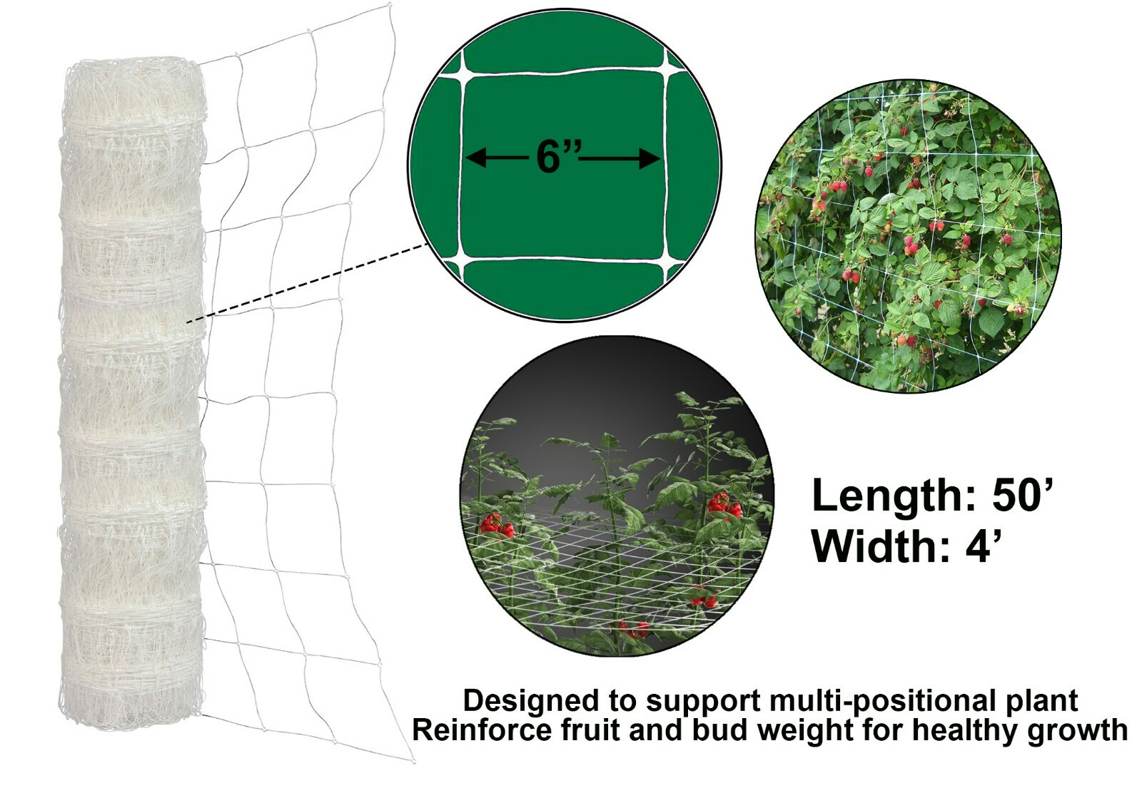 TRELLIS NETTING 4'x50' Plastic Plant Support Garden