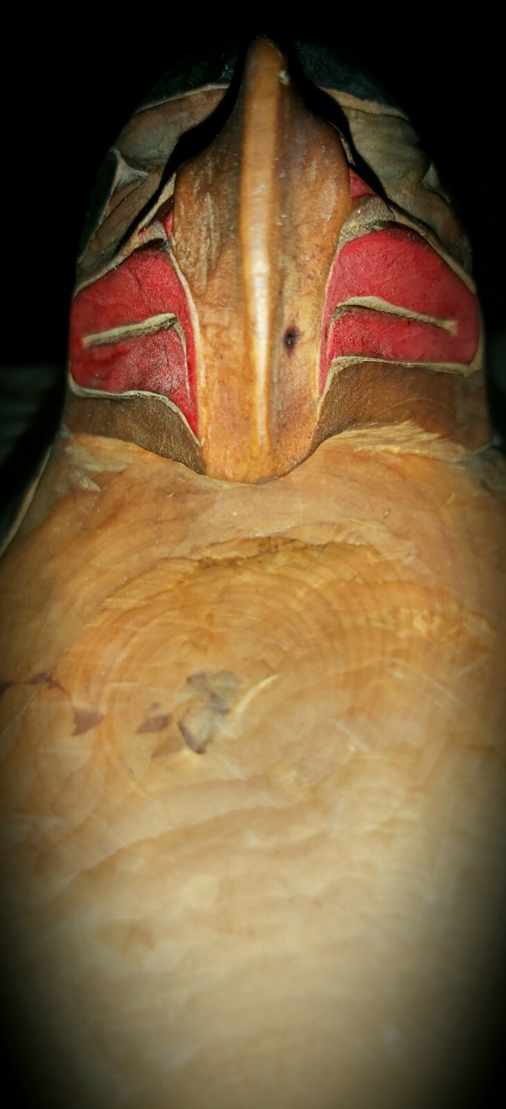 Northwest Coast; Haida, Eagle Ceremonial Bowl.