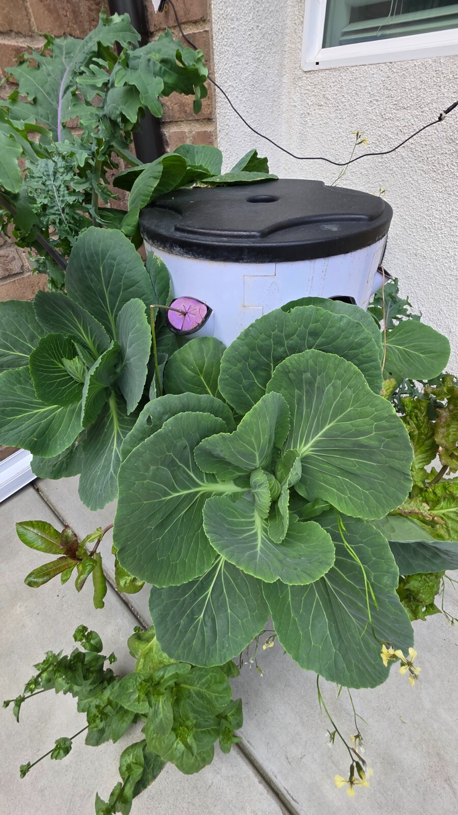 hydroponic vertical tower growing system-2025