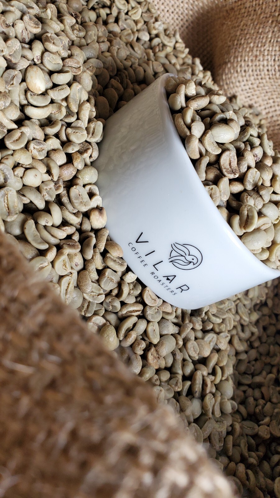 5 LBS HONDURAS HONDURAN FRESH UNROASTED GREEN COFFEE BEANS - ORGANIC ARABICA