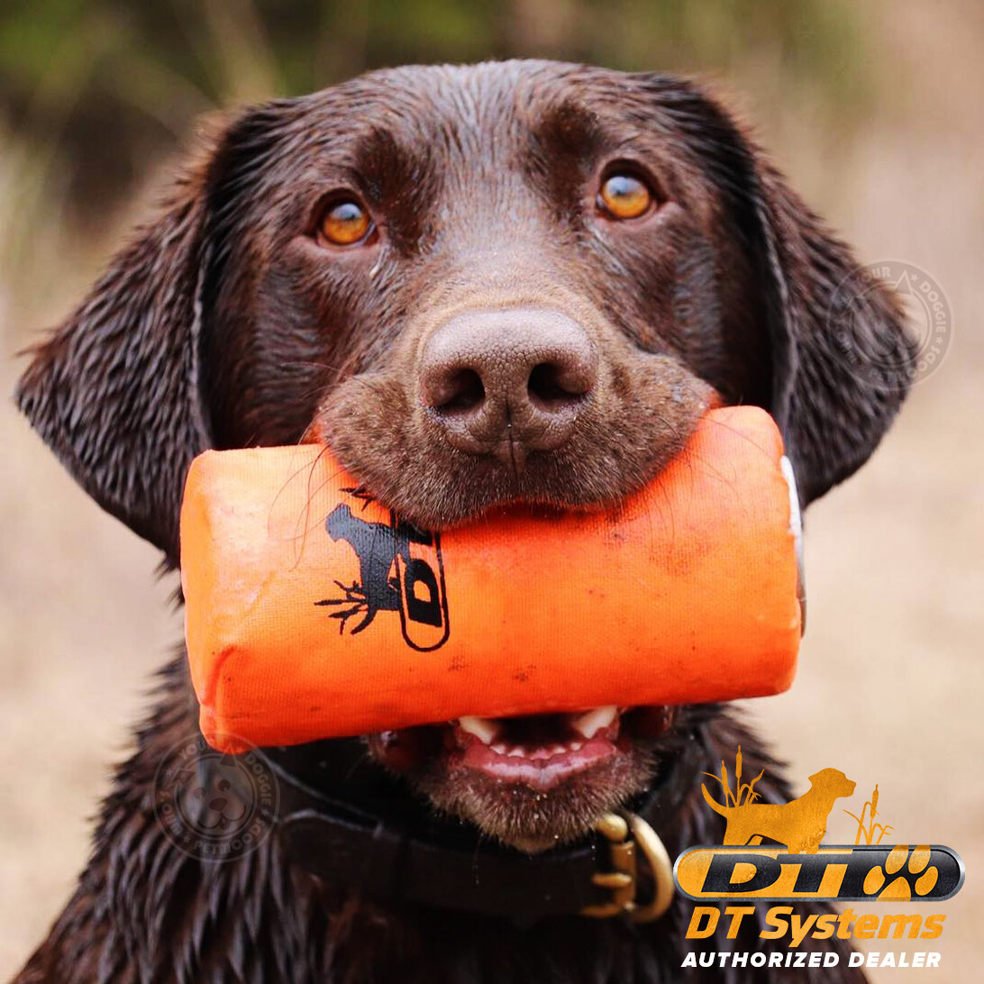 DT Systems Super Pro Dummy Launcher Orange Dog Training Kit w/ Free Power Loads