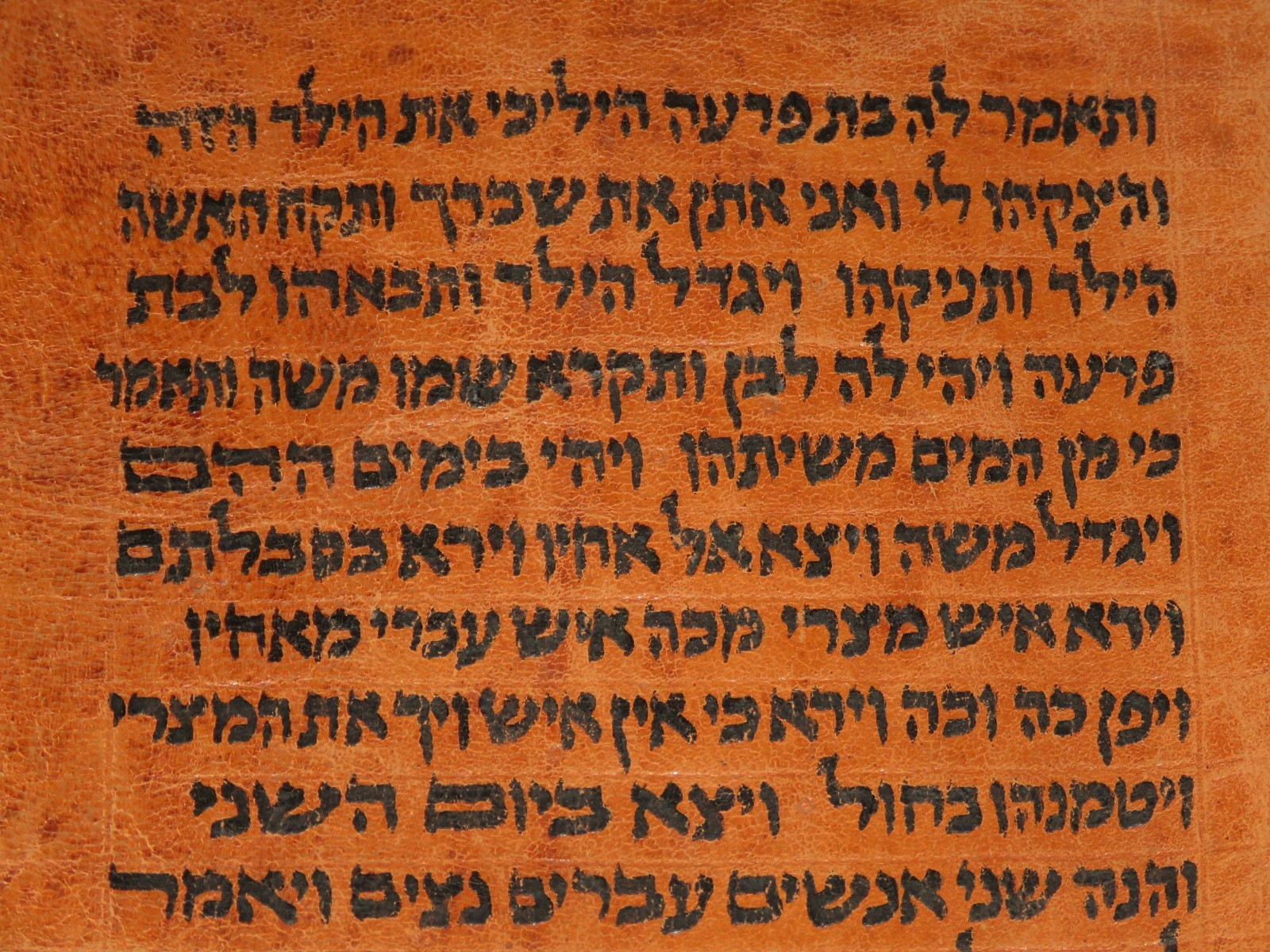 TORAH SCROLL BIBLE MANUSCRIPT VELLUM/LEAF FROM YEMEN 400 YRS OLD red parchment