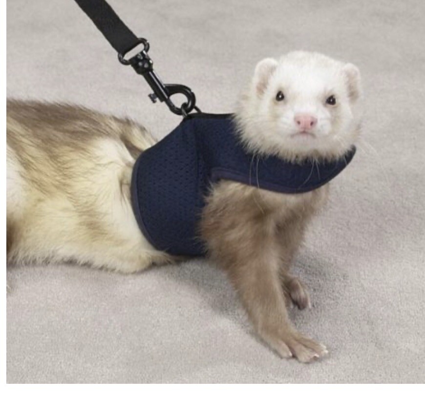 New Ferret Harness & Lead Navy Blue Large Fits Girths 7” To 10”