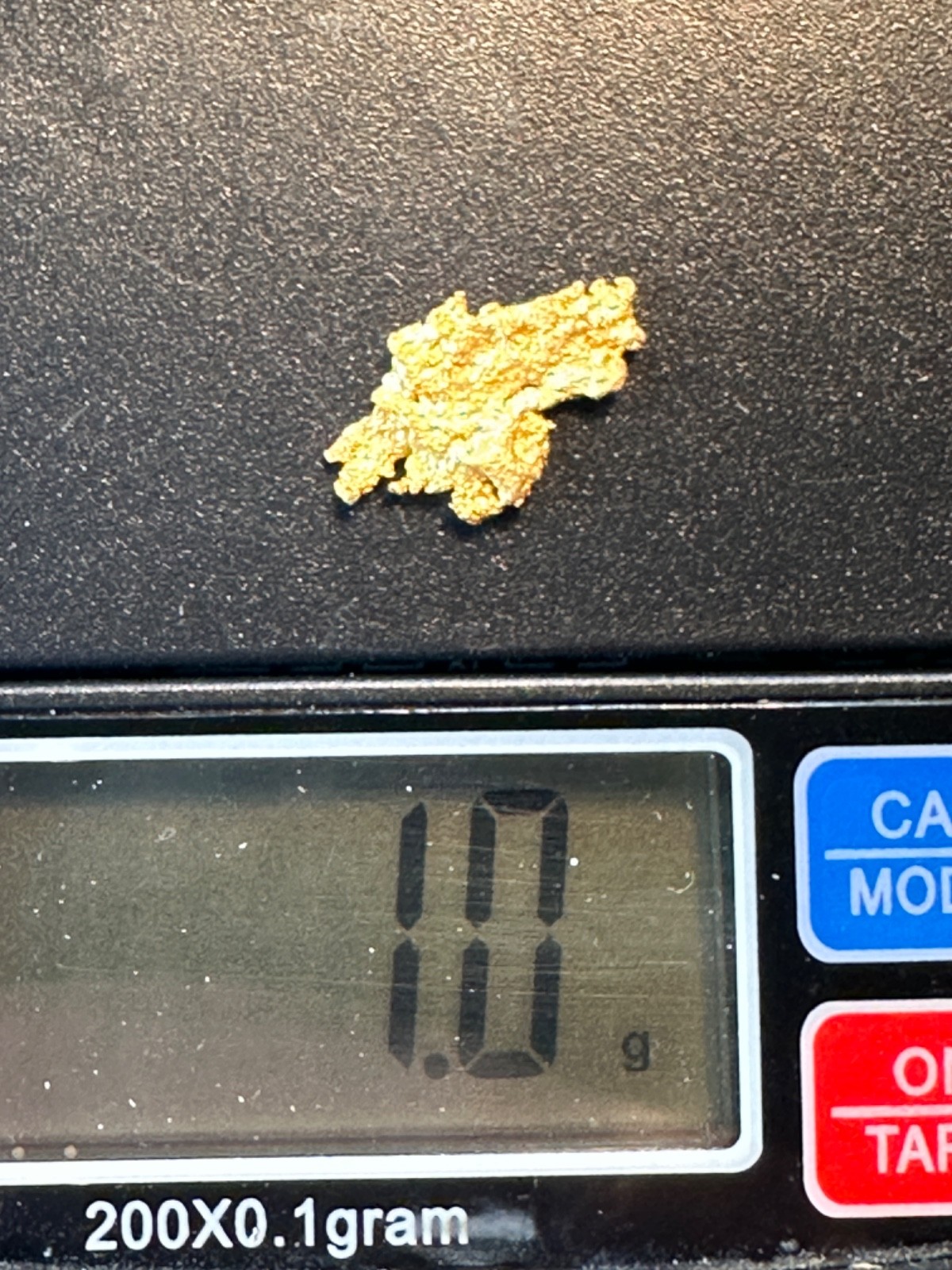 CALIFORNIA PLACER GOLD NUGGET = natural SPECIMEN. 1.0 gram