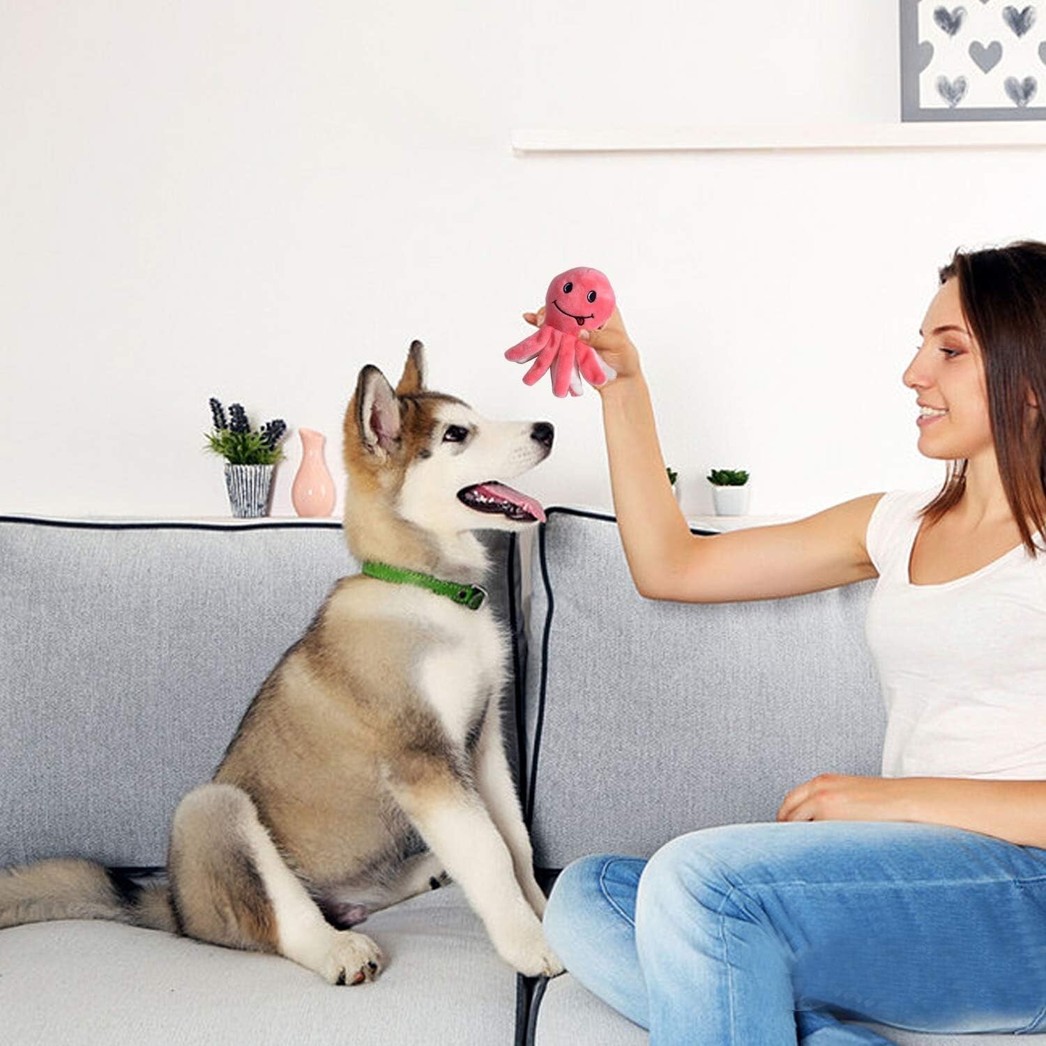 Squeaky Plush Dog Toy Pack for Puppy, Small & medium Stuffed Puppy 12 Chew Toys