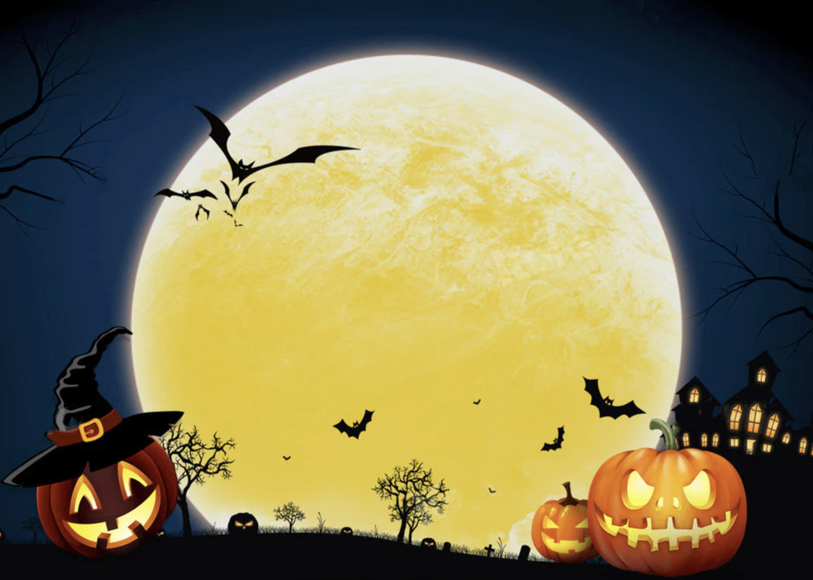 Kate's Halloween Fall backdrop pumpkin moon for photography 5x3 fleece