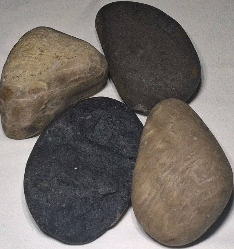 Michigan Petoskey Stone Lot 1 Pound Unpolished Natural Great Lakes Fossil Coral