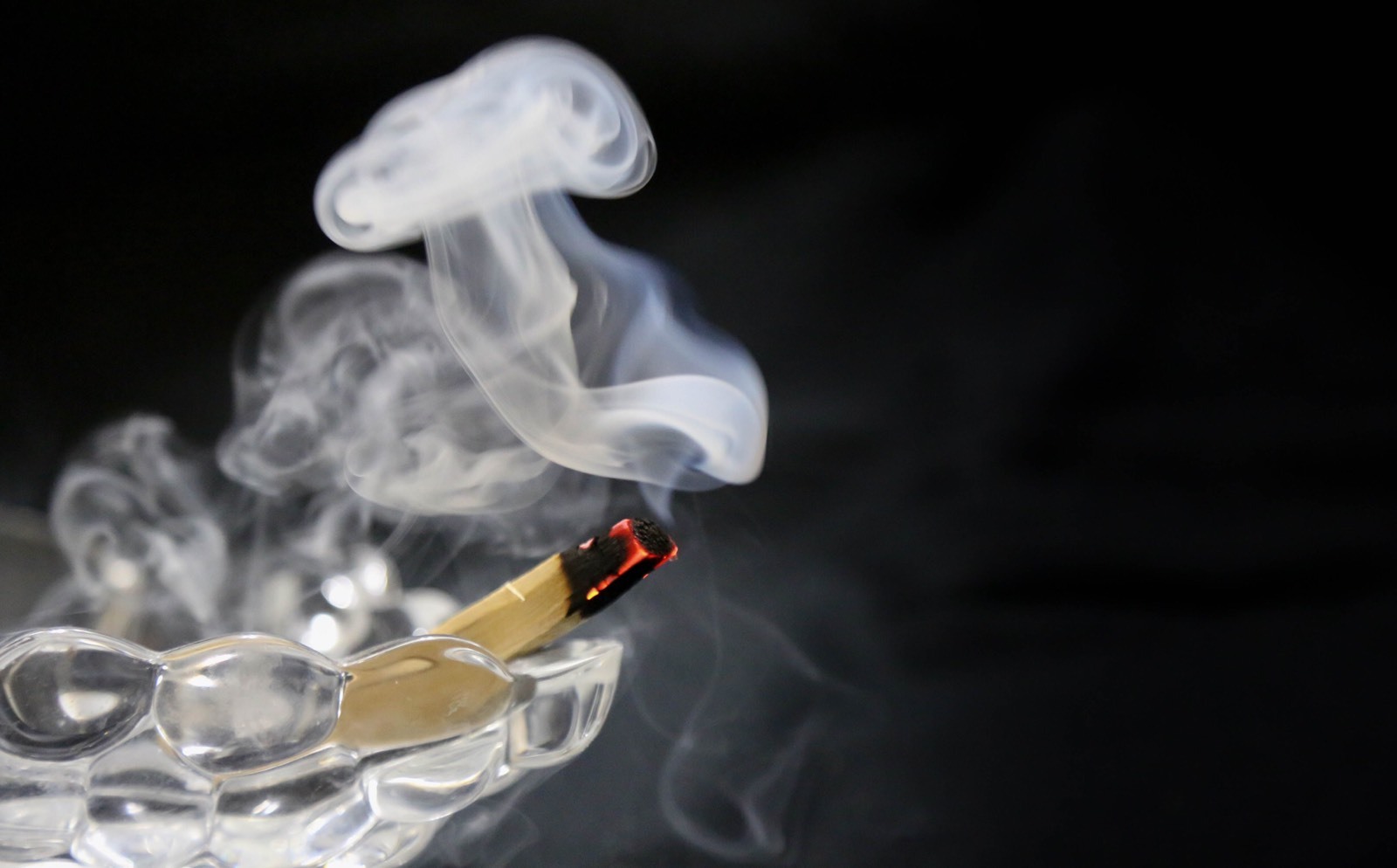 Palo Santo Incense 38 (STICKS APPROX) 1/2 lb SIZE BAG(4+inches long)