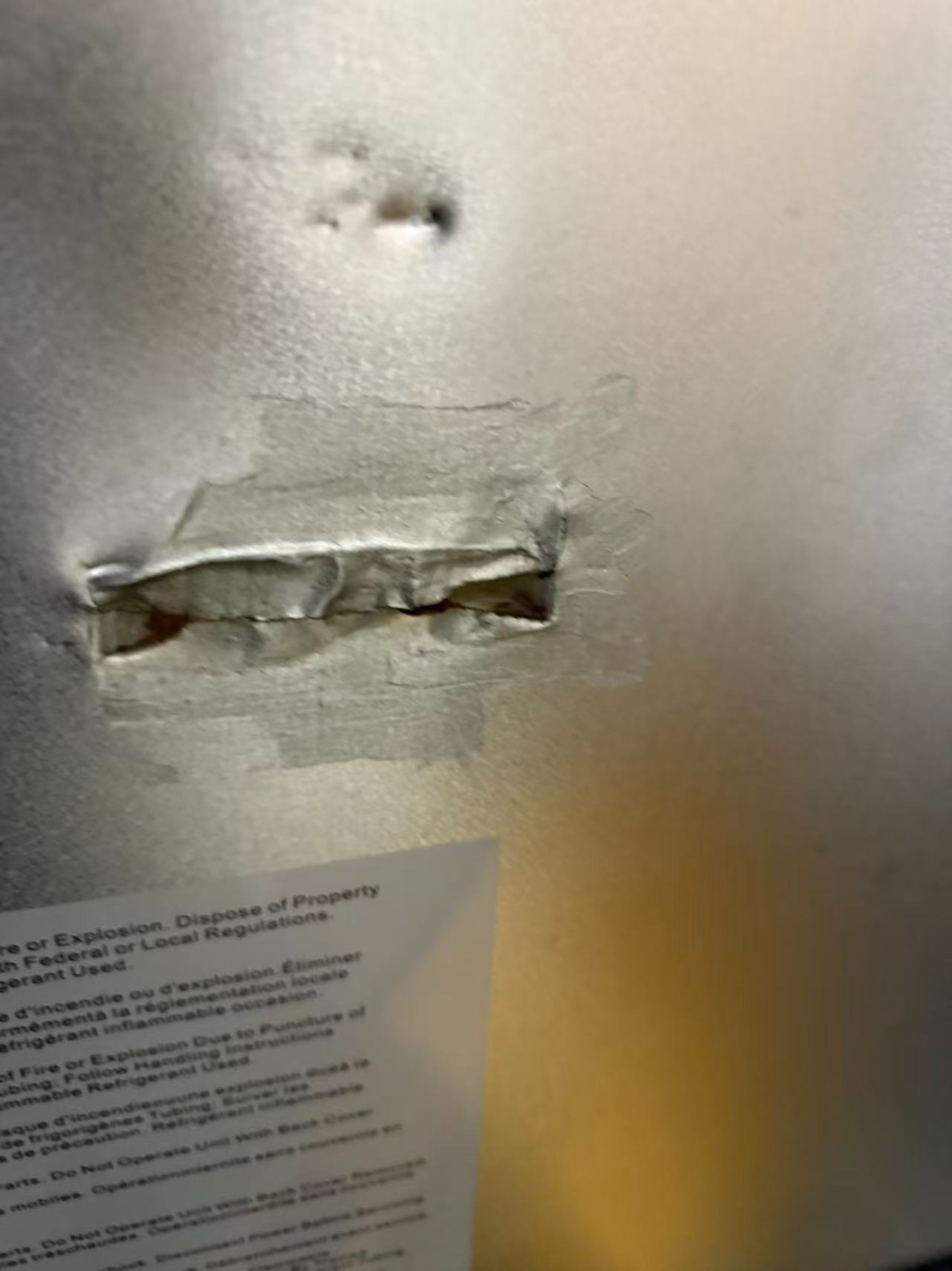 Westlake 54" Commercial Freezer Double Door Stainless Steel - DAMAGED