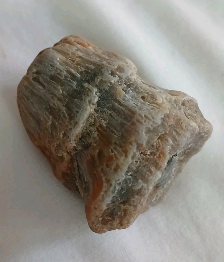 6 pc Lake Michigan Fossils Lot • 1 lb Unpolished Natural Beach Finds