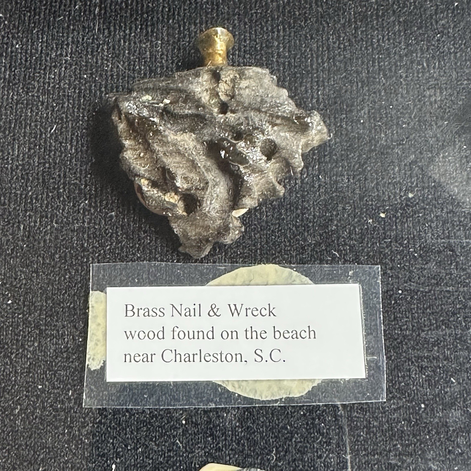 25+ Shipwreck Artifacts in Display Case USS Olympia Pocahontas Civil War Era