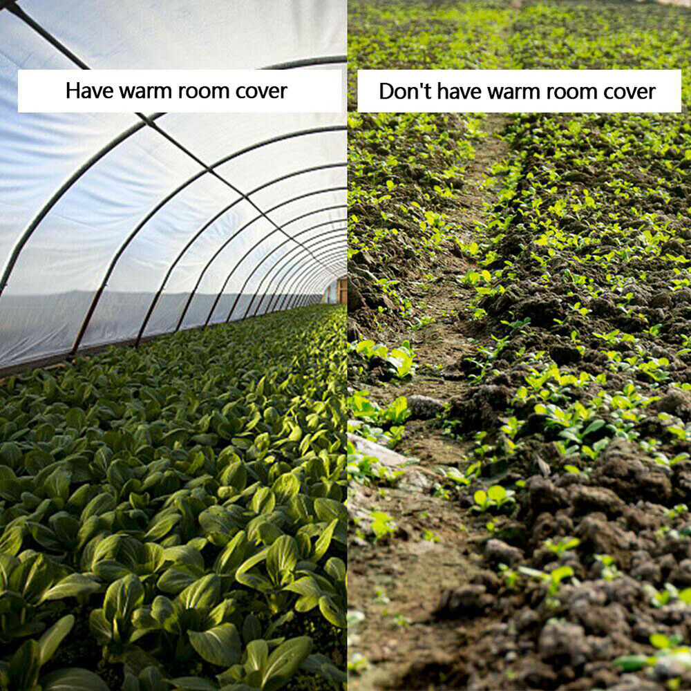 Greenhouse Plastic Cover Clear 6mil 5yr Poly Film 13-30 Widths x Various Lengths