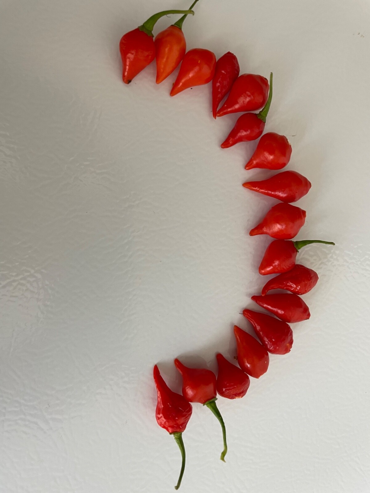 30+ Red Biquinho Pepper Seeds Brazilian Heirloom