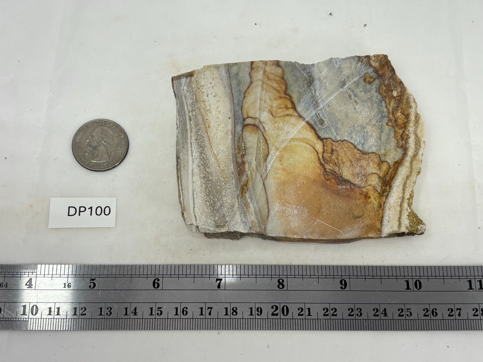 Disaster Peak Picture Jasper end slab Cabbing Lapidary Collecting Combo Ship Avl