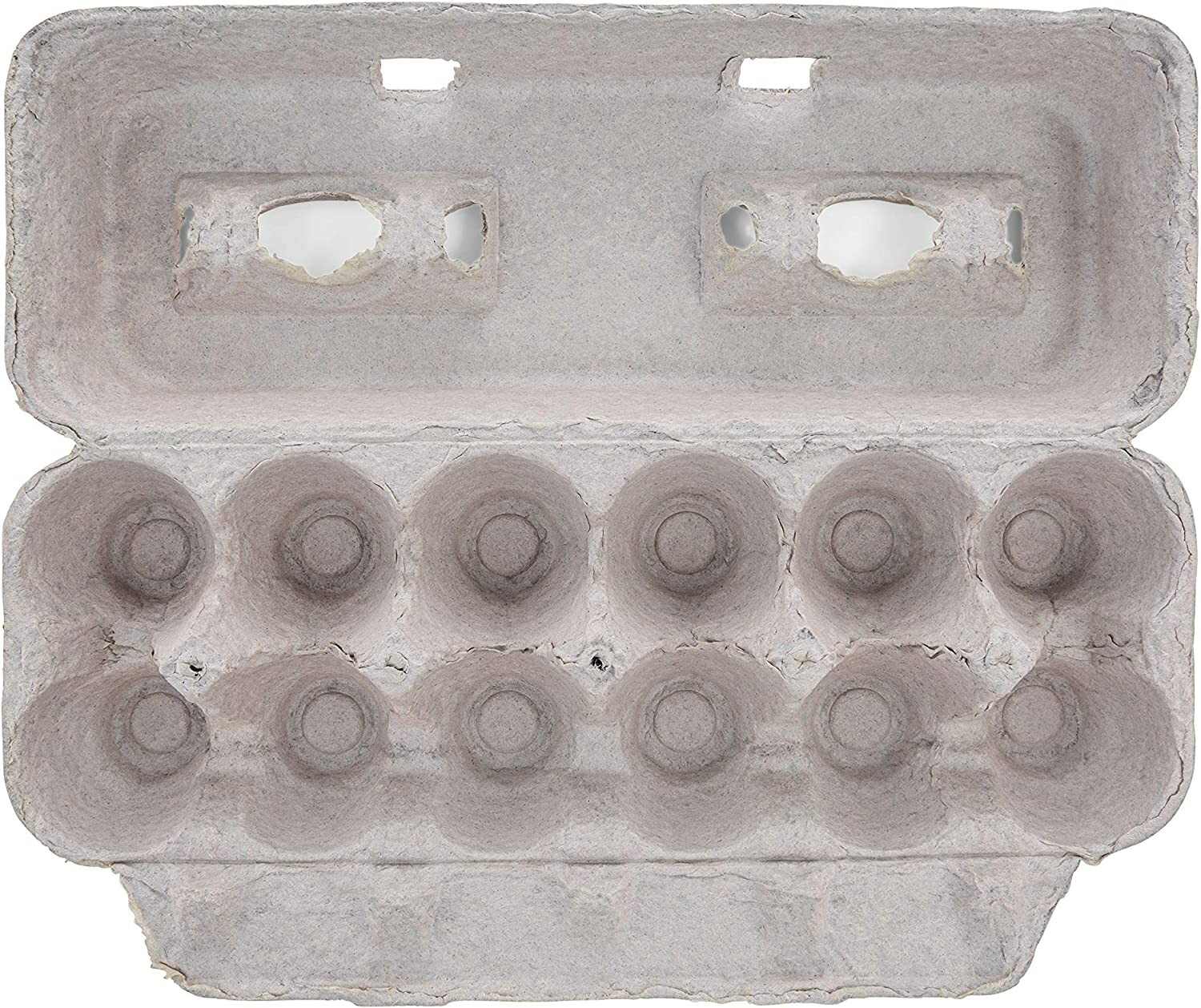 MT Products Printed Pulp XL Paper Egg Cartons Hold Eggs 12 Count - Pack of 10