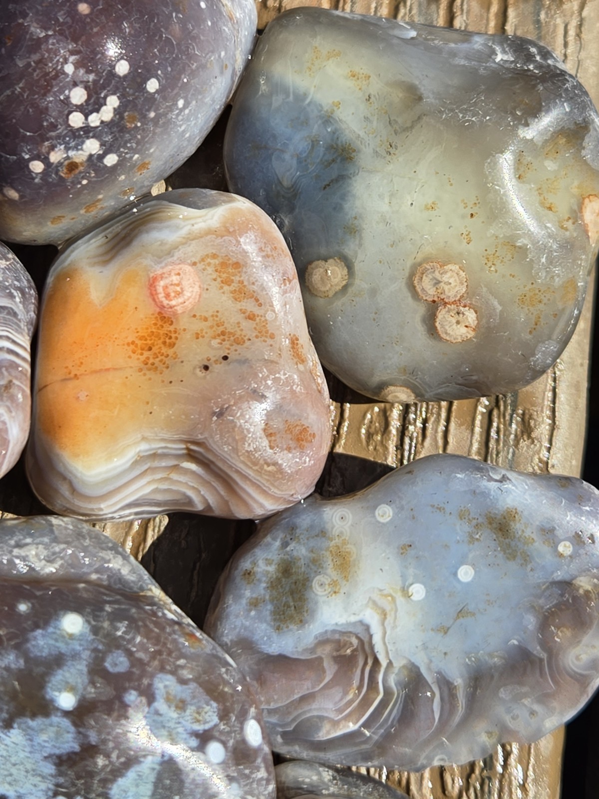 Botswana Agate Selects - DOTS AND SPOTS - Rough, Natural, Not Polished A+ Grade