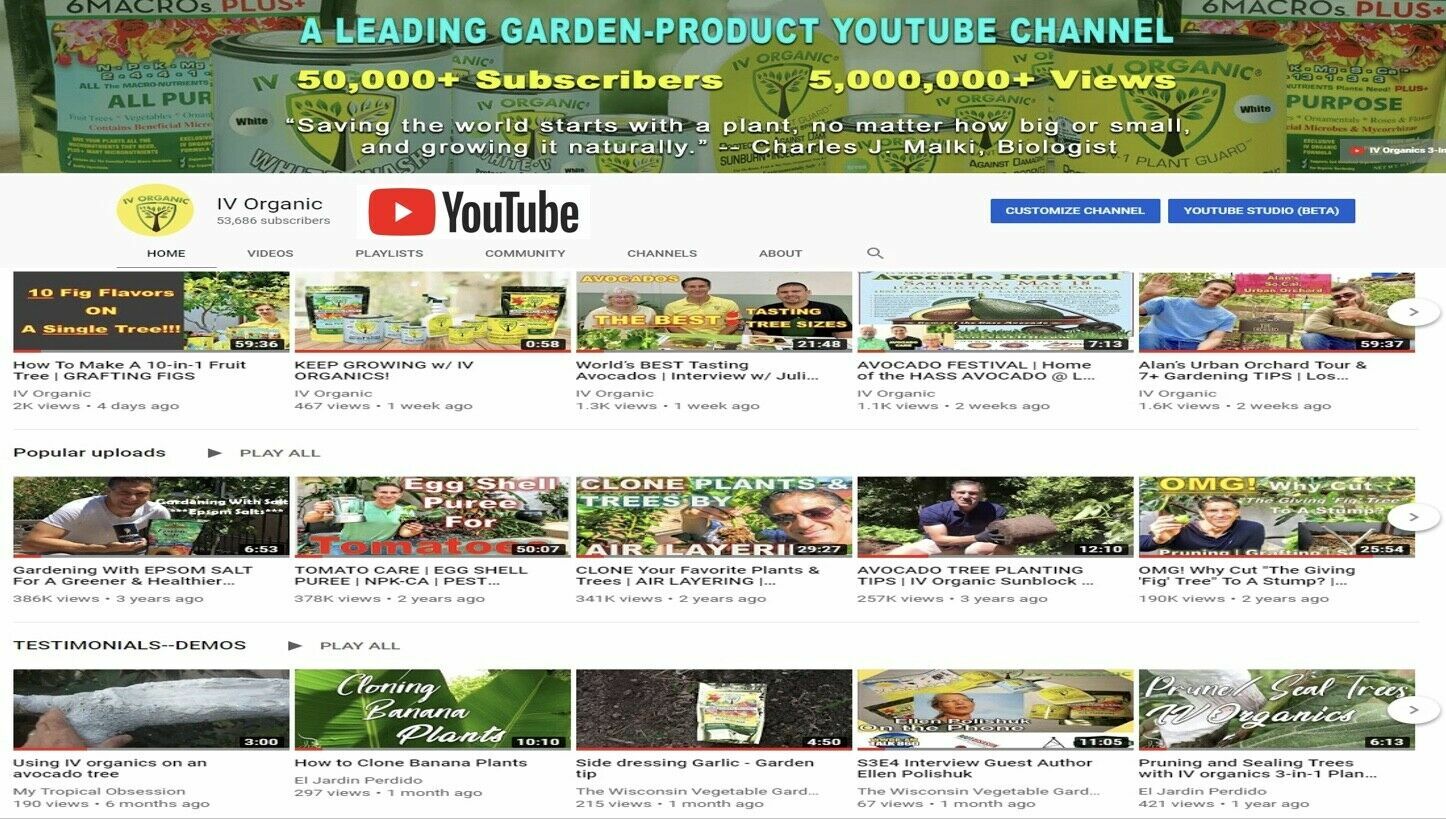 IV Organic White Wash, 1 Pint (WHITE)