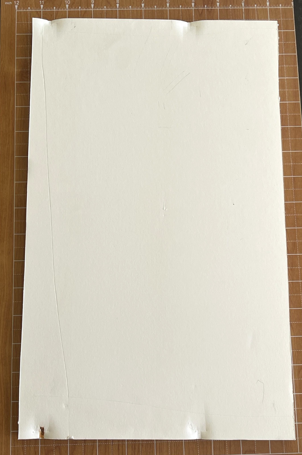 NFL STEELERS SIGNED MIKE TOMLIN DICK LEBEAU SUPER BOWL 43