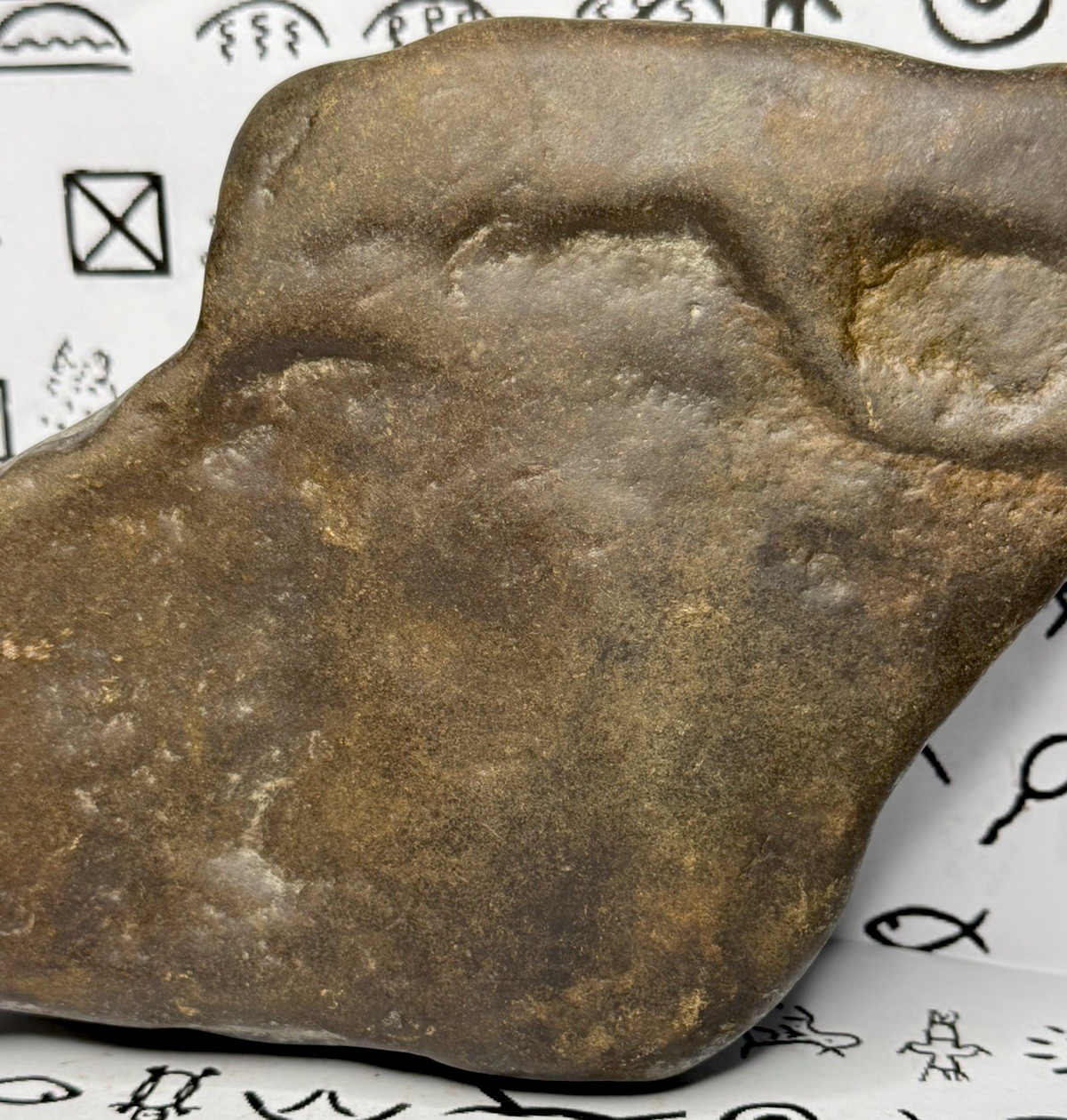 Native American Indian Authentic Artifact Stone Carved Effigy, 3 lb 14 oz • VA