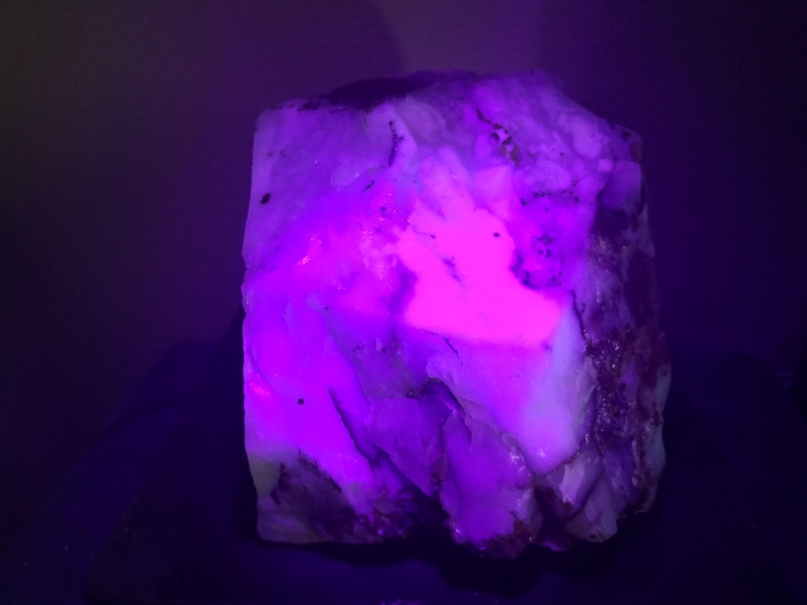 11.7LB UV Polka Dot Agate Rough From Ashwood, OR USA Cabochon/Slab Stock #25