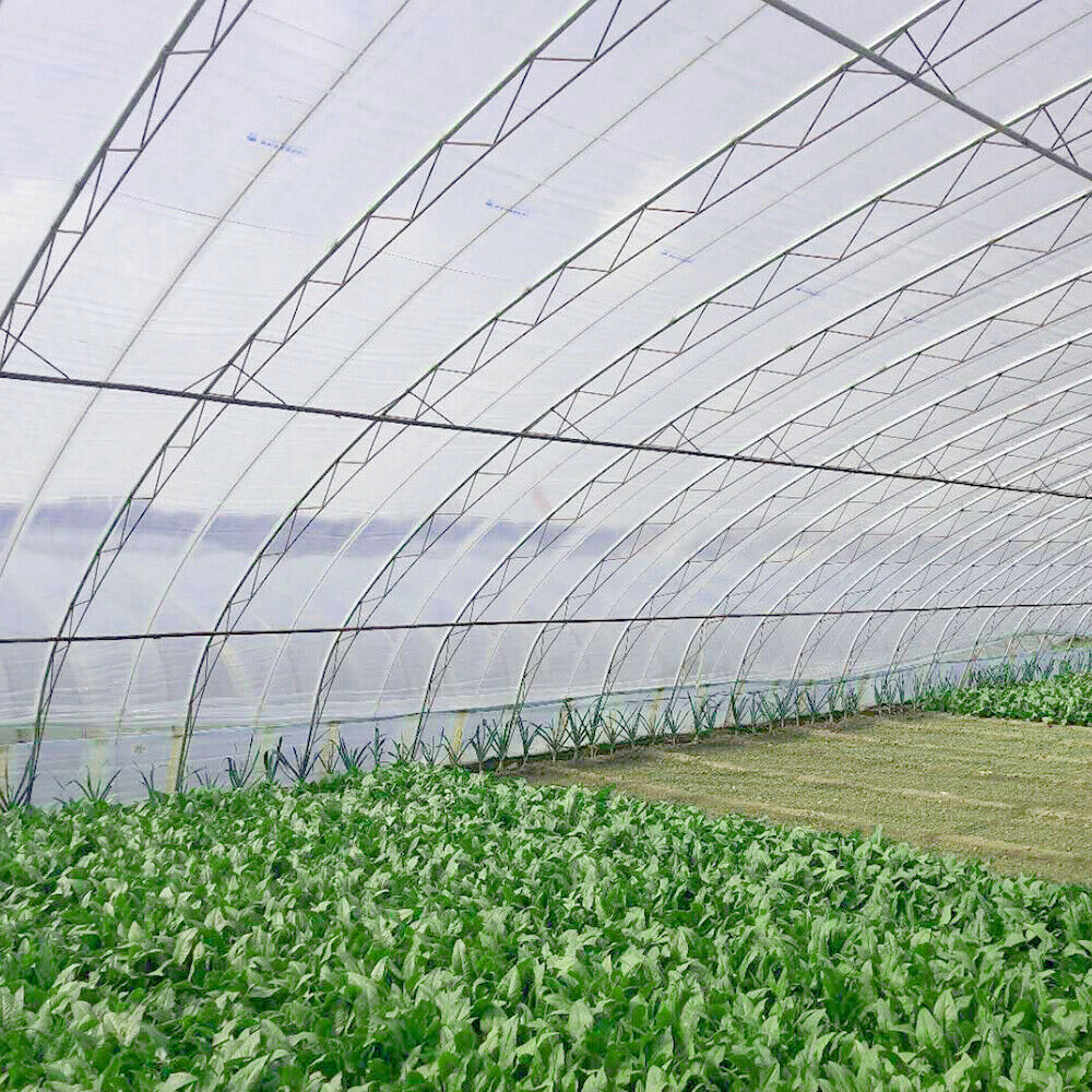 Greenhouse Plastic Cover Clear 6mil 5yr Poly Film 13-30 Widths x Various Lengths