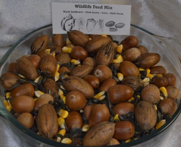 2 LBS Utah Acorn, Utah Pecan, Black Sunflower Seed and Corn Wildlife Feed Mix