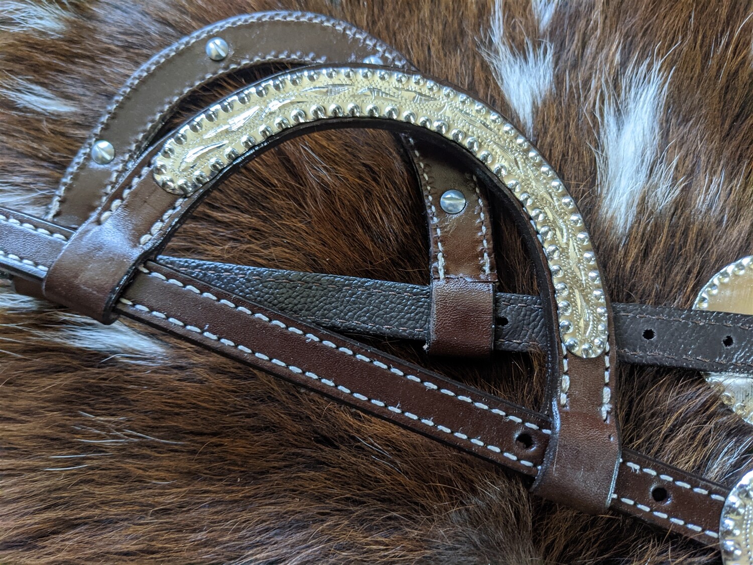 Dark Oil Show Headstall - Bridle - Double Ear -Silver Berry Edge