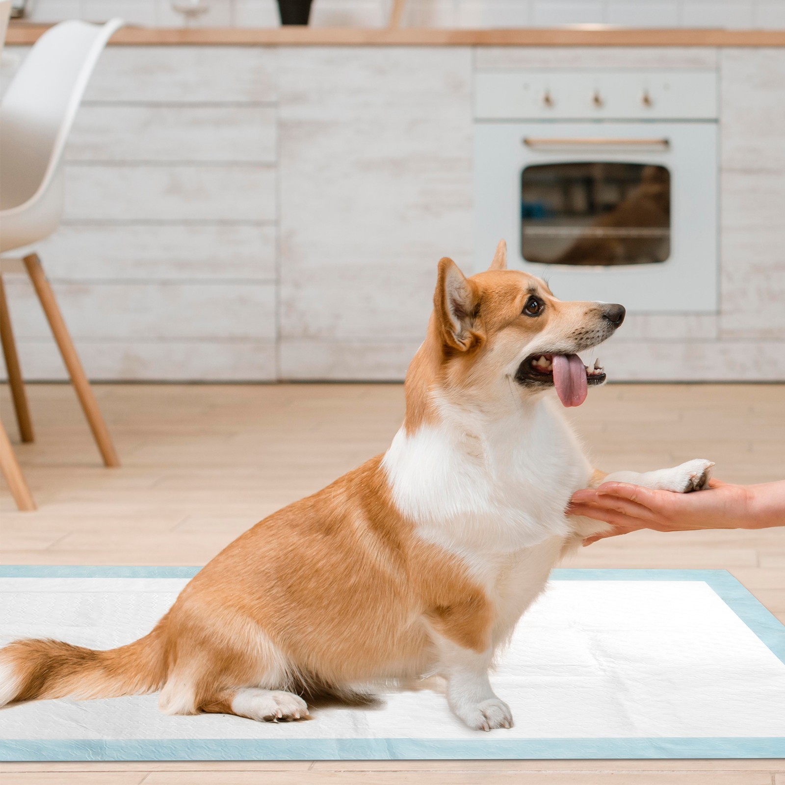 Disposable Underpads 23'' X 36'' Pee Pad ULTRA Absorbent Bed Incontinence Covers