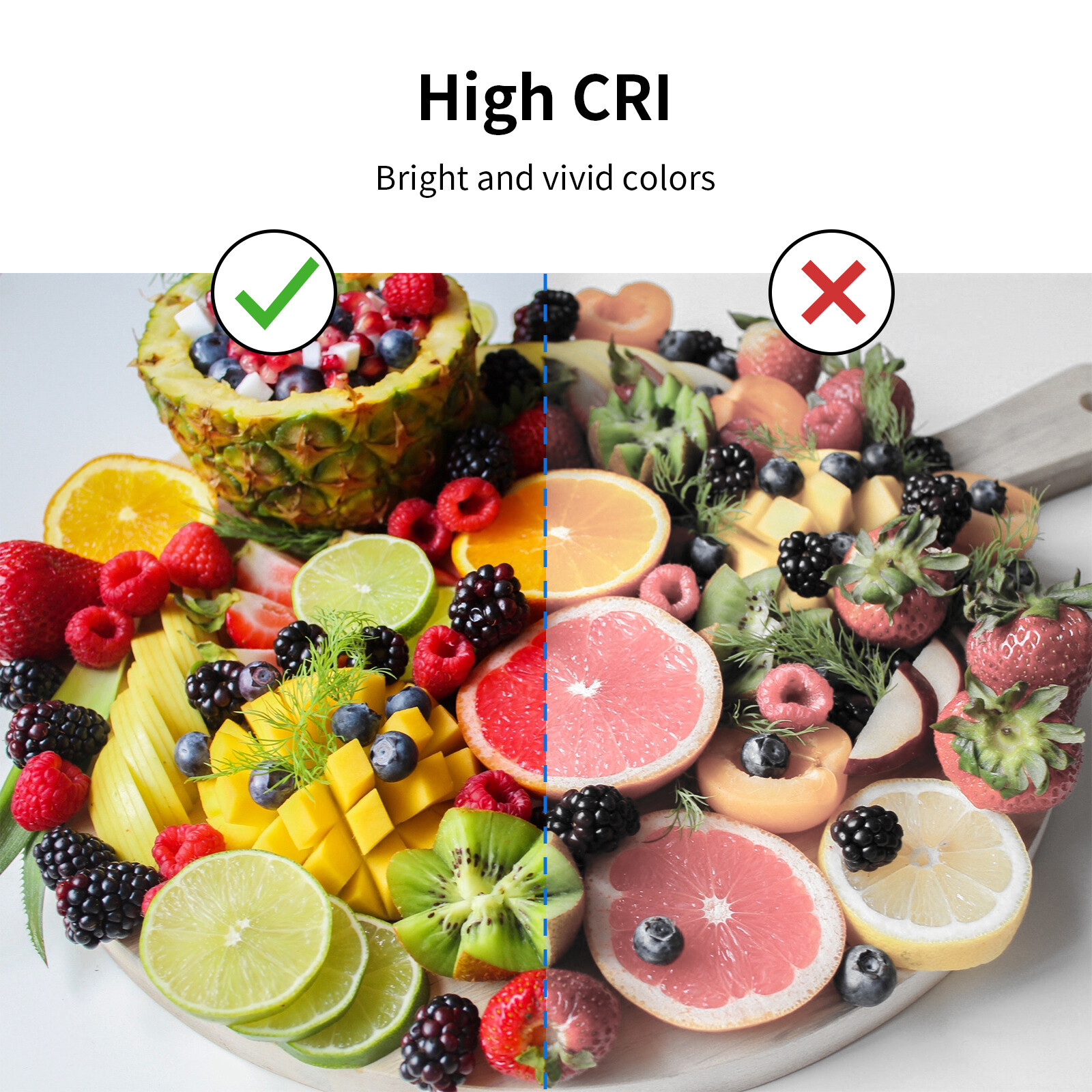 16" Portable Large 144 LED Photo Light Box Tent Studio Photography Shooting Kit