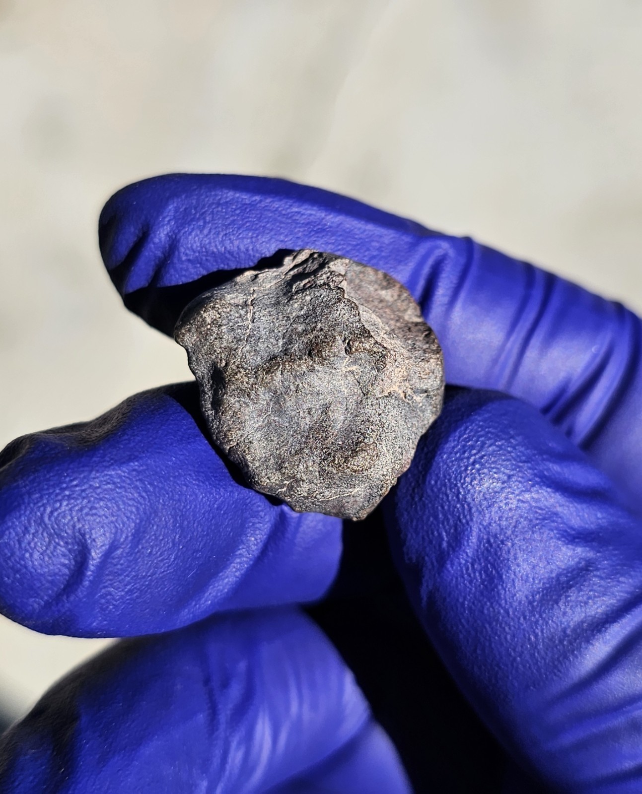 Atacama Desert, Chile | 7.871 Grams | Fusion Crusted Individual