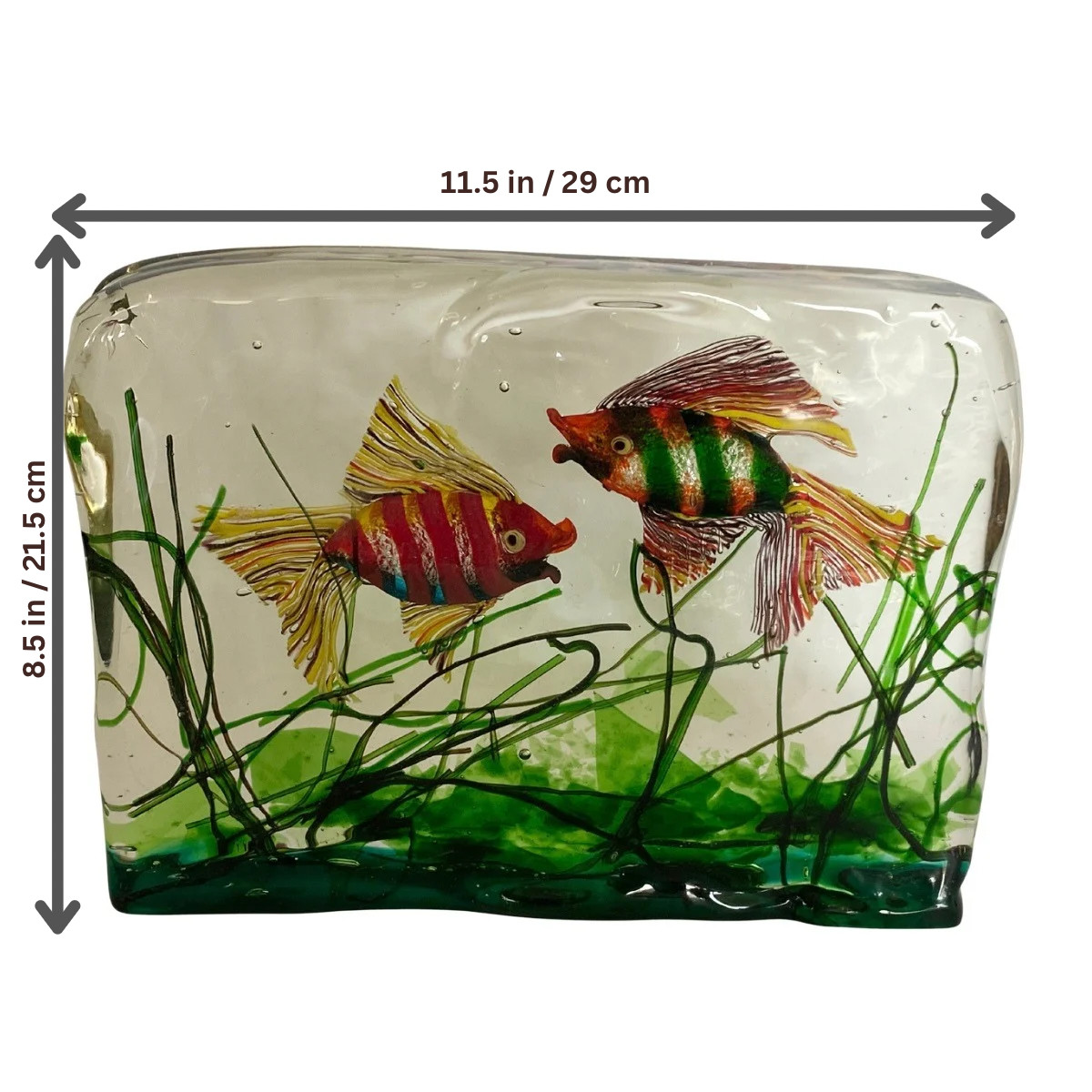 Exceptional Alfredo Barbini Cenedese Murano Glass Fish Aquarium Sculpture 14 LBS