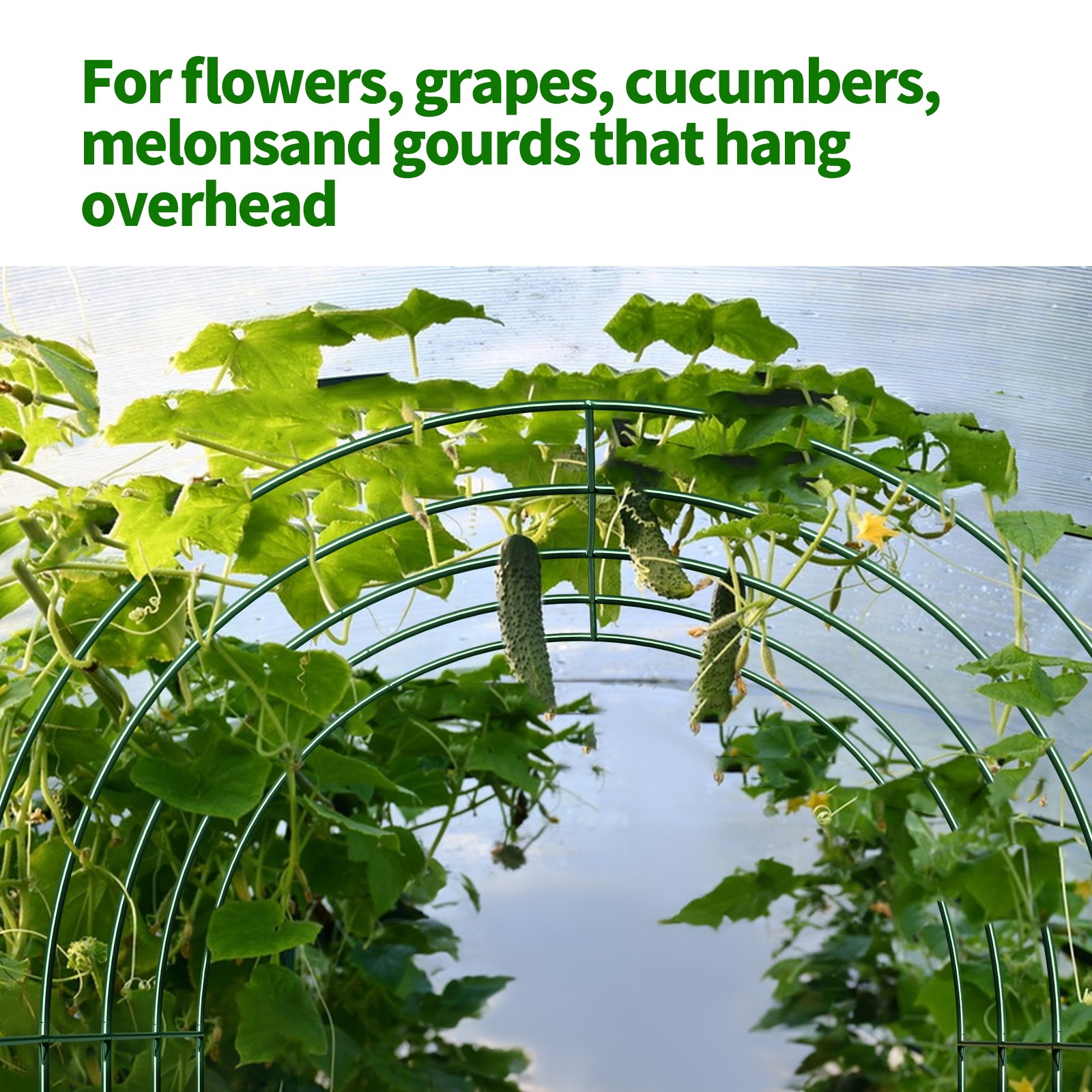 13x7x7.2 ft Steel Garden Arch Rose Arbor Climbing Plant Grape Support Frame Yard