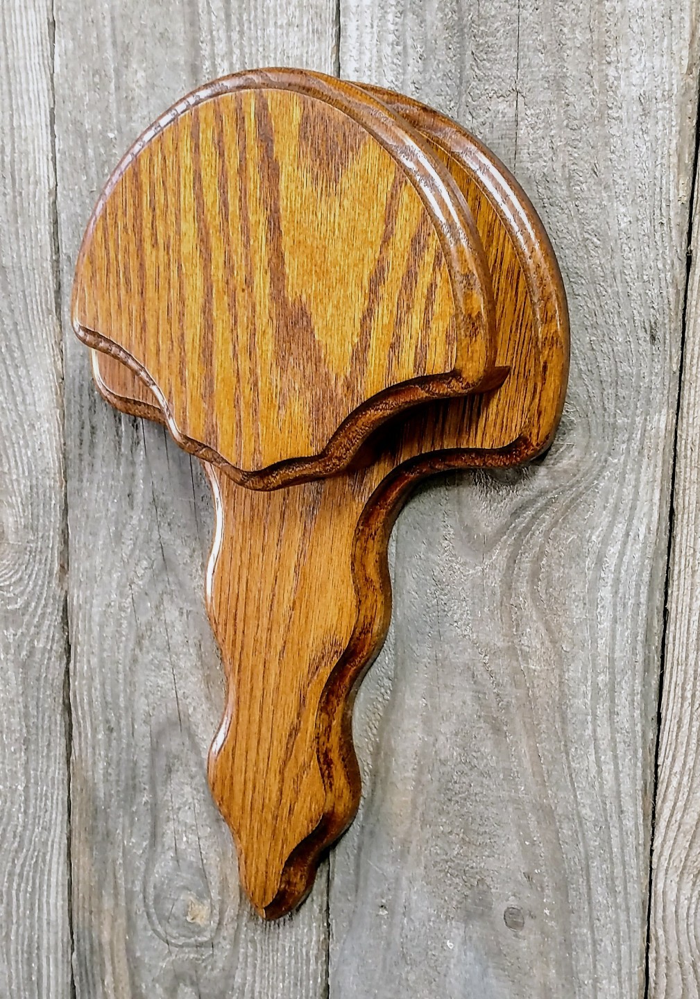 OAK TURKEY TAIL FAN PANEL TROPHY PLAQUE TAXIDERMY DISPLAY