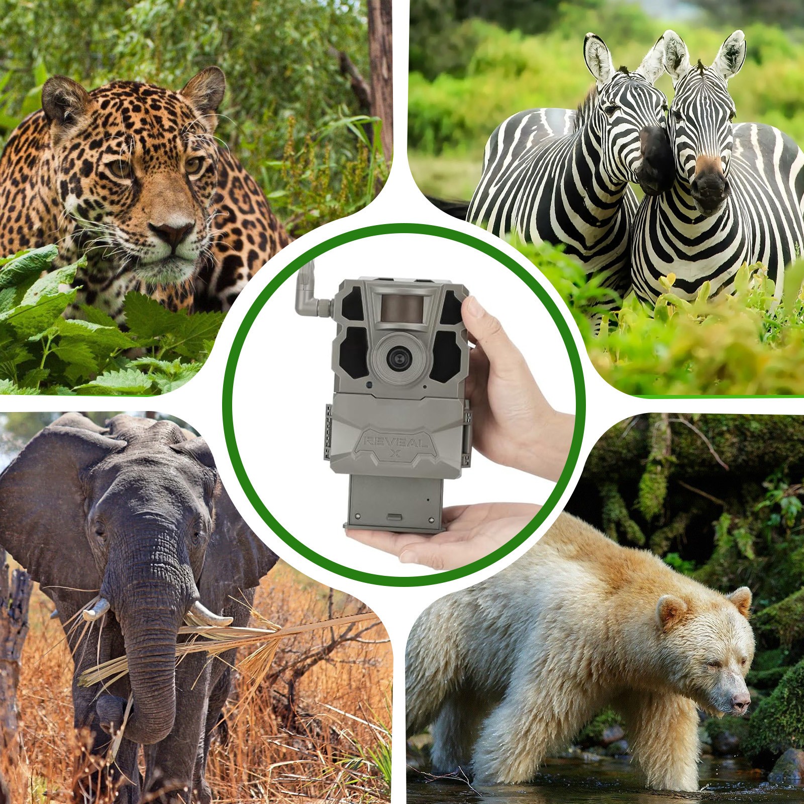 2PCS Rechargeable Battery for Reveal Hunting Trail Camera X Gen 3.0,2.0,Pro 3.0