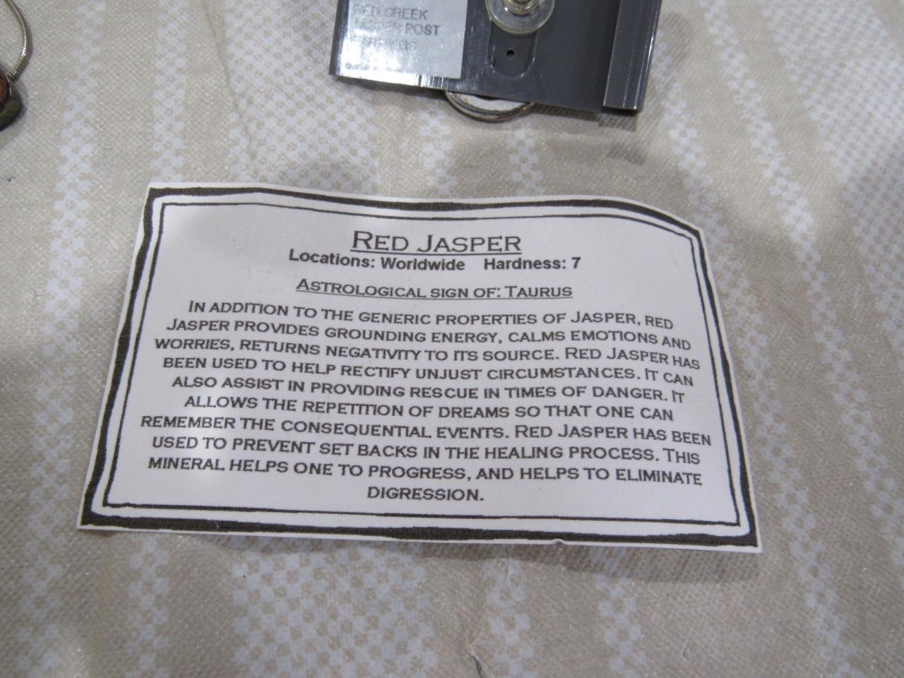 Charles Albert Red Jasper Gemstone Sterling 925 Earrings & Necklace - 20 Grams