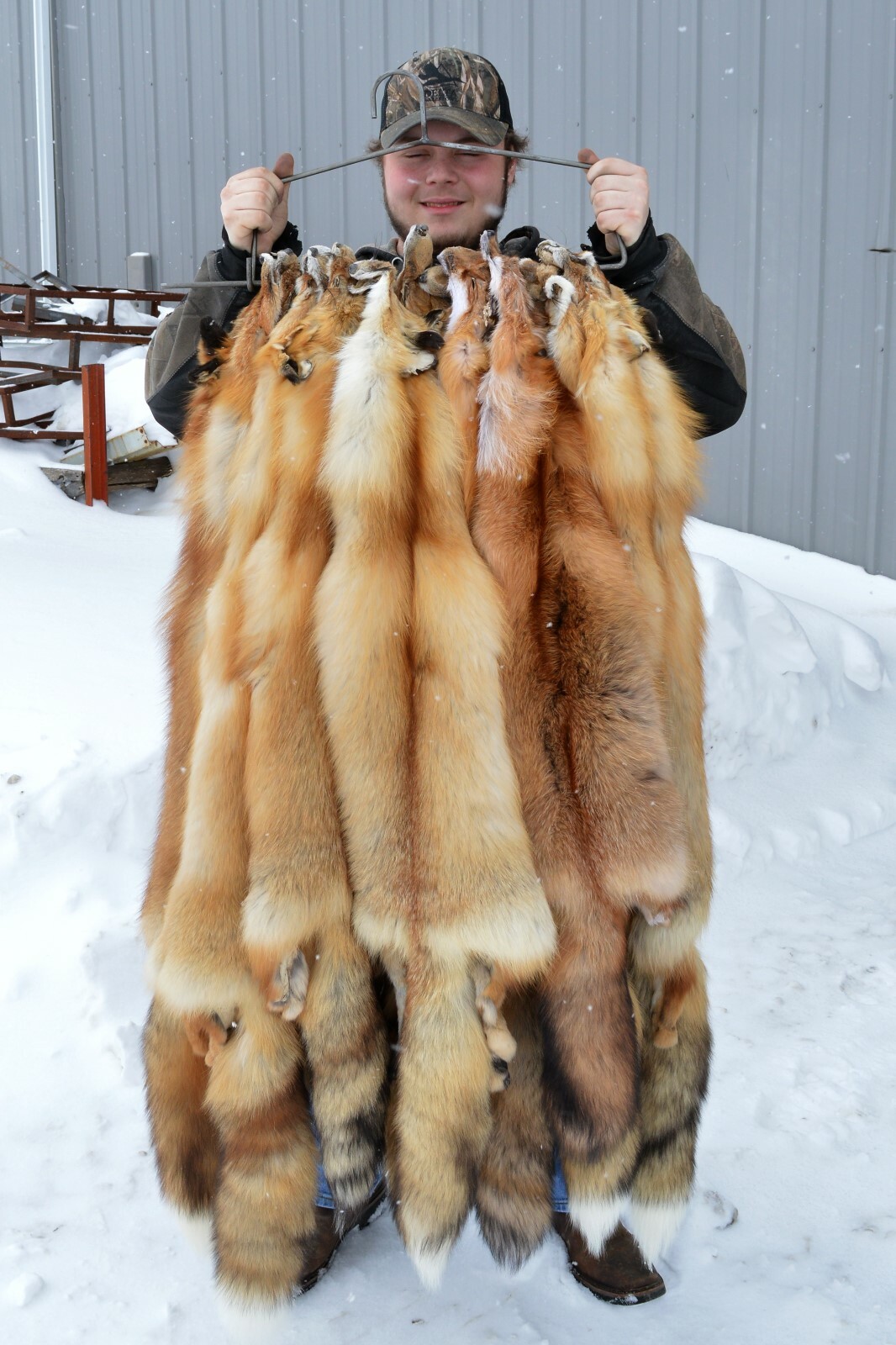 Tanned Red Fox Winter “Heavy Fur” Western Extra Large Premo (rfwhpremo)