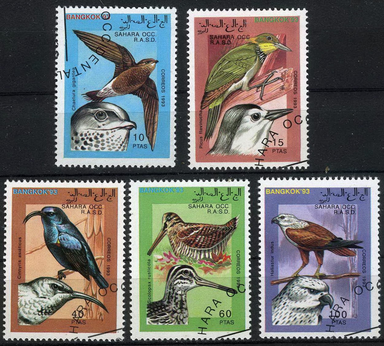 Western Sahara 1993 Colorful Birds Head & Body First Day Issue