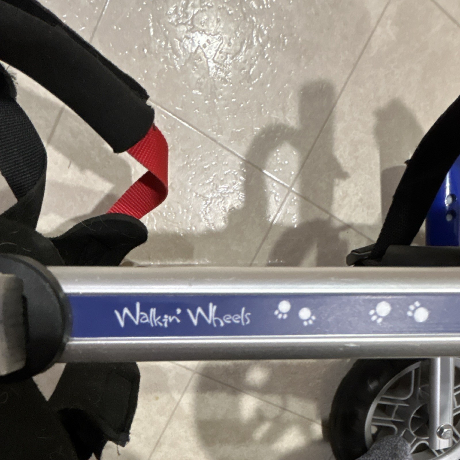 Walkin' Wheels Dog Wheelchair Blue Mobility Aid