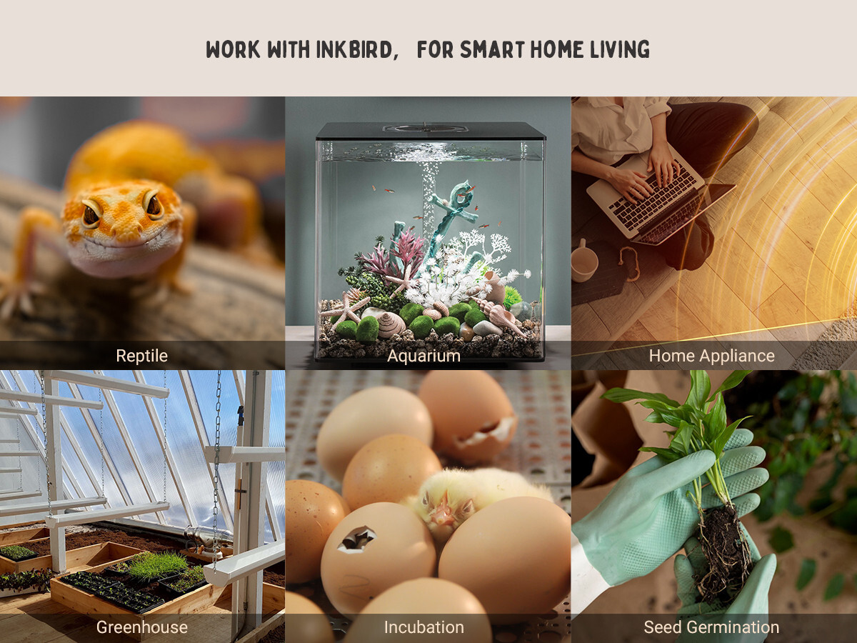 Bluetooth Thermostat Temperature Controller Heating Cooling Incubator Greenhouse