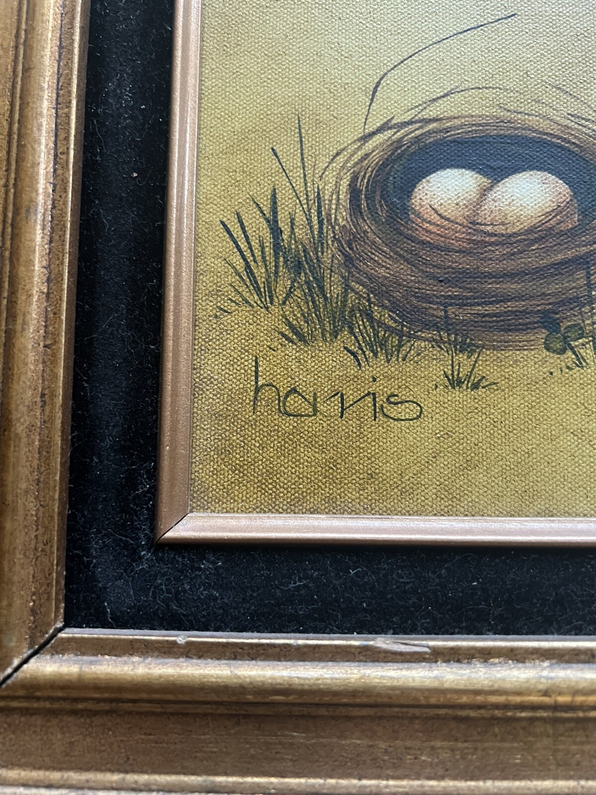 Vintage Painting Butterfly The Beginning Spring Bird Nest Eggs Cottage Cabin