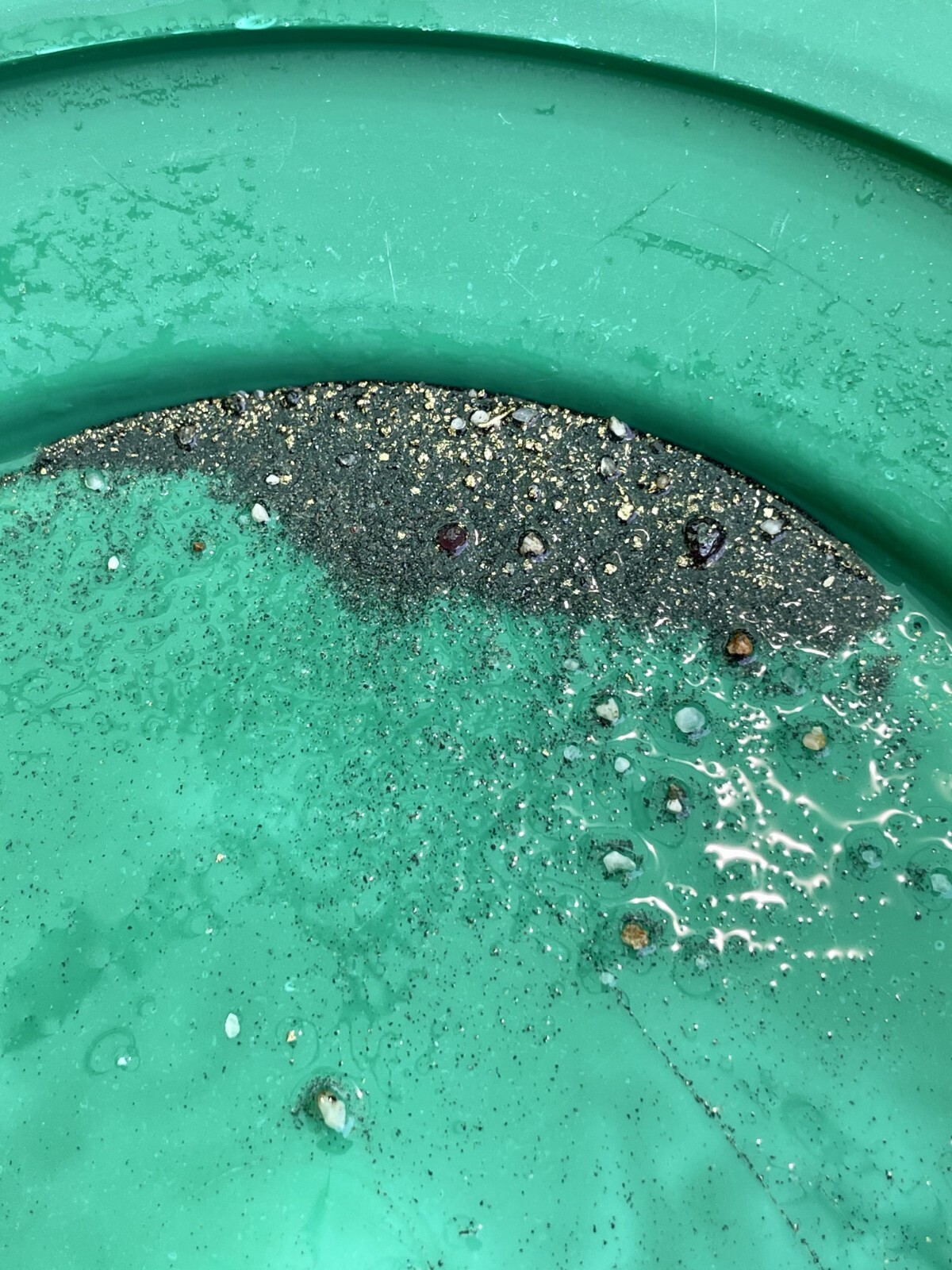 Yuba River Gold Unsearched Paydirt Plus Added Gold Straight from the River rich