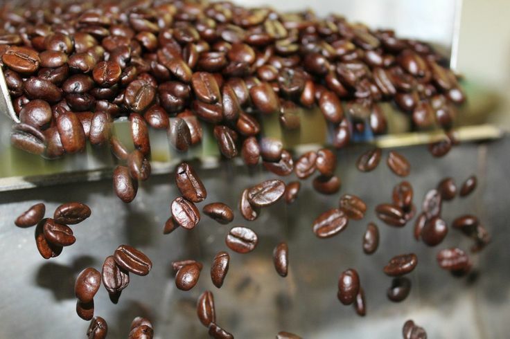 5 lbs of AUTHENTIC Kona Extra Fancy Coffee - Free Shipping!