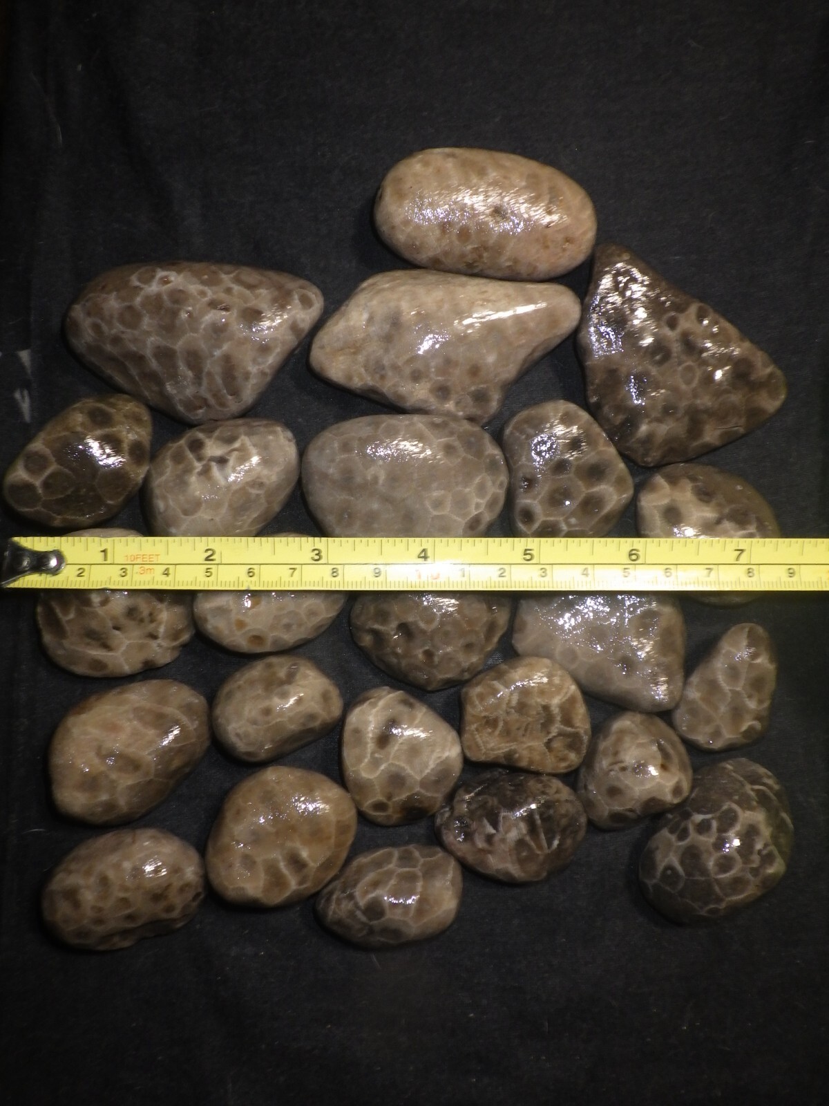 Unpolished Petoskey Stones 2lbs 8.0 oz